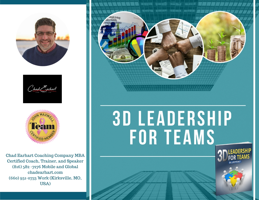 3D Leadership For Teams Booklet